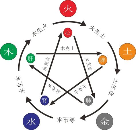 五行屬木缺什麼|八字「缺木」，會給自己，帶來什麼樣的吉凶！